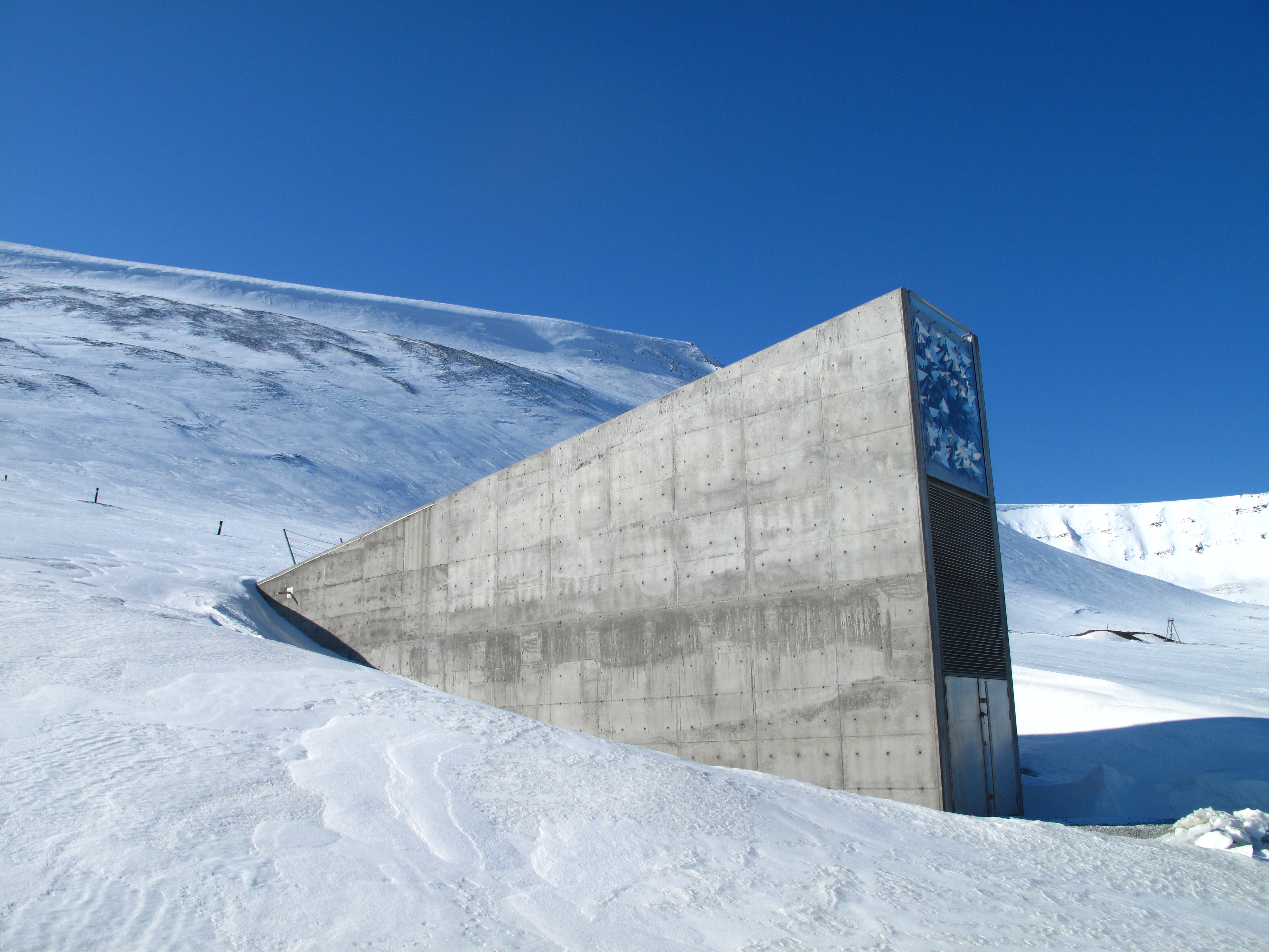 Long Travelled Seeds In Place In The Seed Vault Svalbard Global Seed Vault