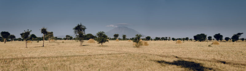 Panorama