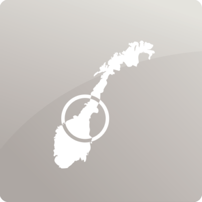 29 regioner midt-norge grå