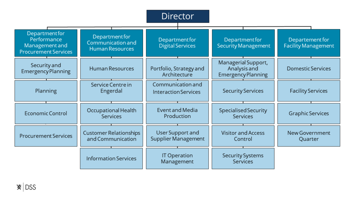 About Norwegian Government Security and Service Organisation DSS