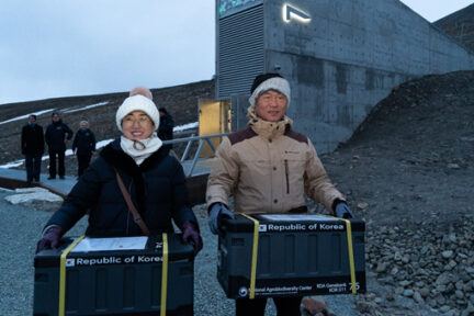 Ju Hee Rhee, Director and Choo Gyu Take, Genebank Manager of the National Agrobiodiversity Center Rural Development Administration, Republic of Korea while depositing two of the five seed boxes that arrived from their institution to Svalbard this week. Credit: NordGen/Svalbard Global Seed Vault.