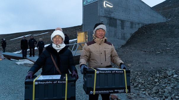 Ju Hee Rhee, Director and Choo Gyu Take, Genebank Manager of the National Agrobiodiversity Center Rural Development Administration, Republic of Korea while depositing two of the five seed boxes that arrived from their institution to Svalbard this week. Credit: NordGen/Svalbard Global Seed Vault.