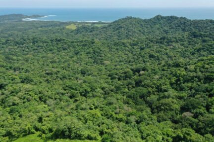 Costa Rica is rewarded up to USD 10 million for its performance on reducing tropical deforestation. Photo: Costa Rica's National Fund for Forestry Financing.
