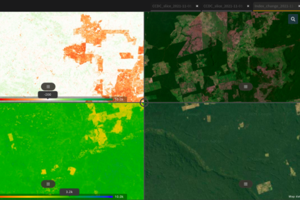 SEPAL is a platform helping users make the most of complex satellite data. The screenshot shows 4 different themes for a site from the Brazilian Amazon. Photo: FAO.
