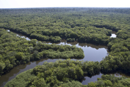 Companies are crucial in protecting the world’ rainforests, as much of the forest loss – including in the Amazon – is caused by the production of commodities. Unilever, AMAGGI and other companies now use satellite data to act early on deforestation risks. Photo: Amazon Fund.