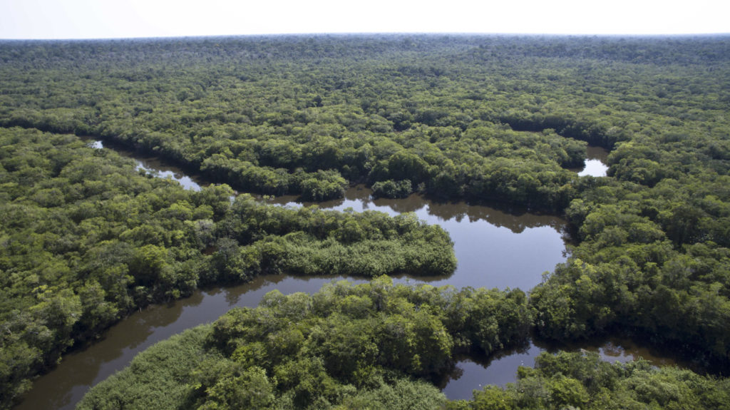 Companies are crucial in protecting the world’ rainforests, as much of the forest loss – including in the Amazon – is caused by the production of commodities. Unilever, AMAGGI and other companies now use satellite data to act early on deforestation risks. Photo: Amazon Fund.