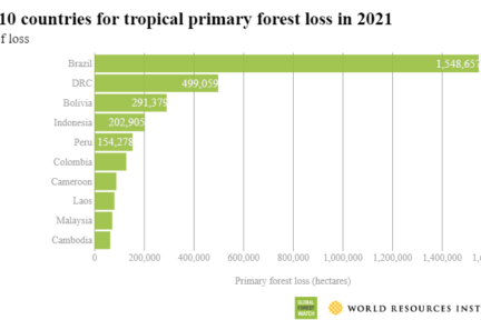 Tabellen viser hvilke ti land i verden som hadde størst tap av tropisk skog i fjor. Foto: Global Forest Watch