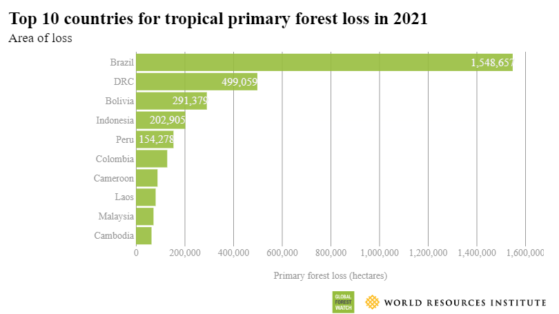 Tabellen viser hvilke ti land i verden som hadde størst tap av tropisk skog i fjor. Foto: Global Forest Watch