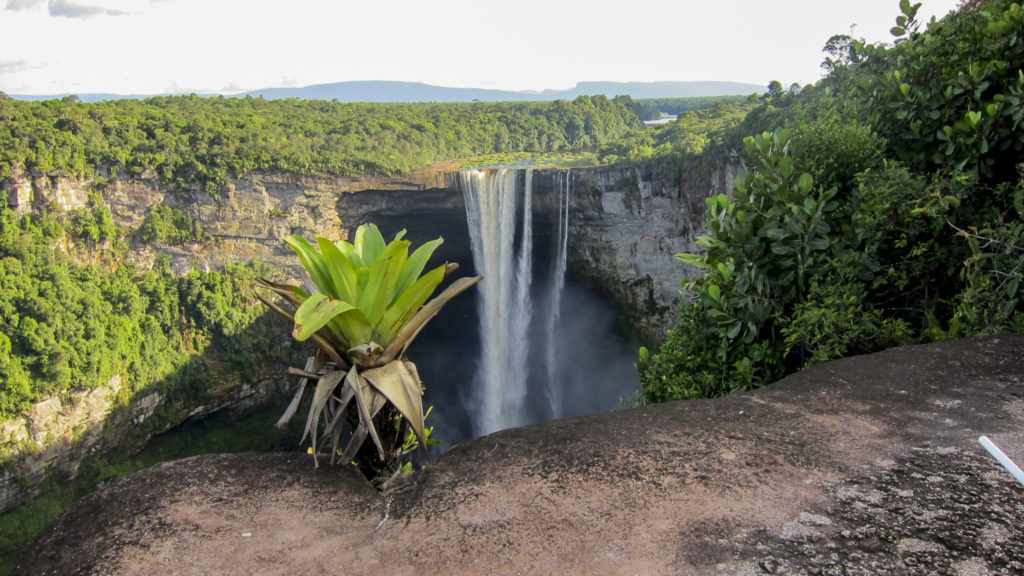 Guyana has successfully kept its forest cover of 85% and with only 0,05% deforestation. Now, the country’s largest ever solar power projects will be financed thanks to the country’s low deforestation levels. Photo: NICFI.