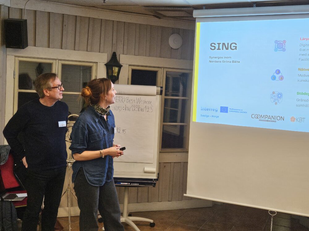 to personer som står foran en skjerm og presnterer SING, Interreg Sverige-Norge