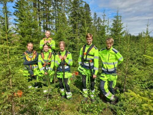 ungdom som jobber i skogen