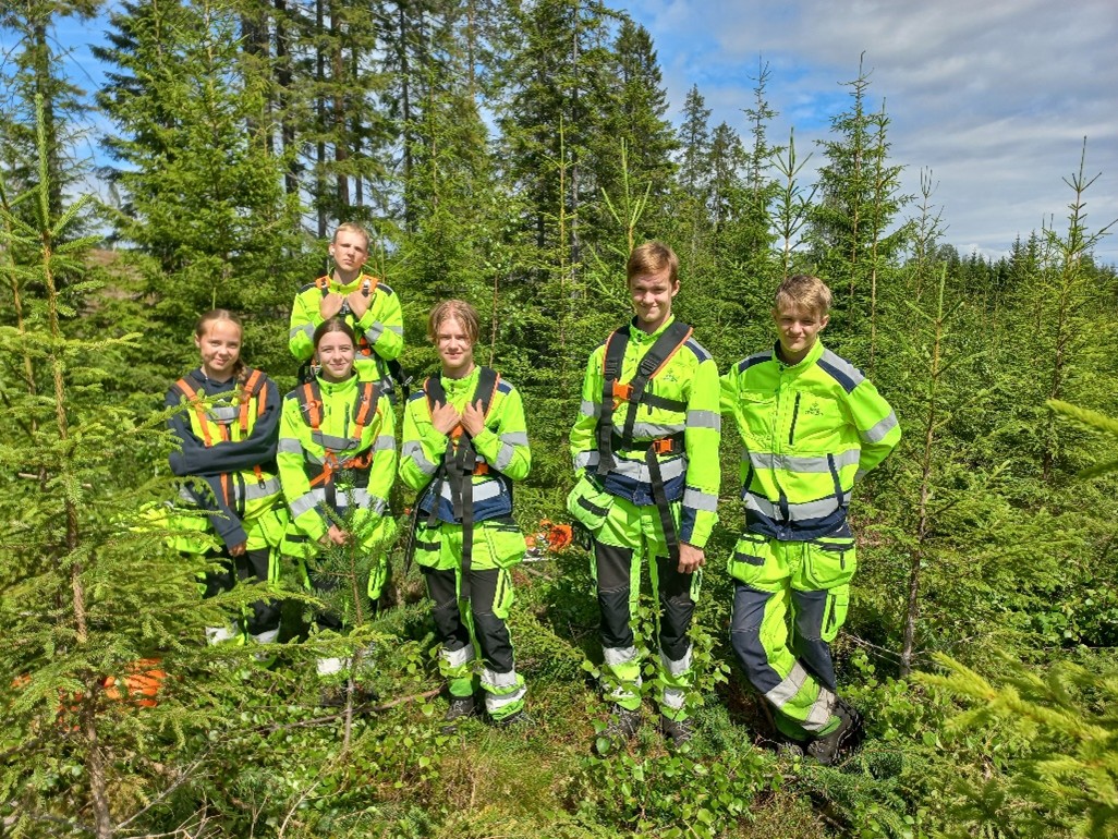 ungdom som jobber i skogen