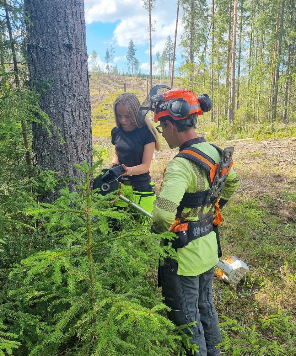 undommer som jobber i skogen