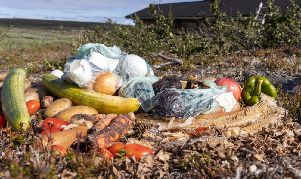 matrester og søppel etterlatt i naturen