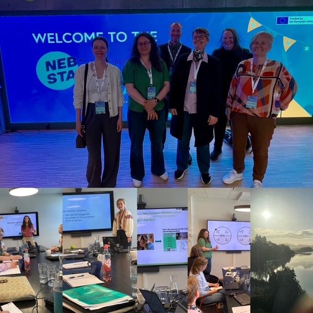 : Delegasjonen fra Elverum som jobber med eller er involvert i NEBA