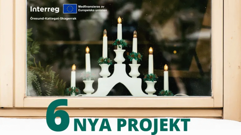 julelysestake i et vindu - Interreg gir 115 millioner kroner til grønn omstilling