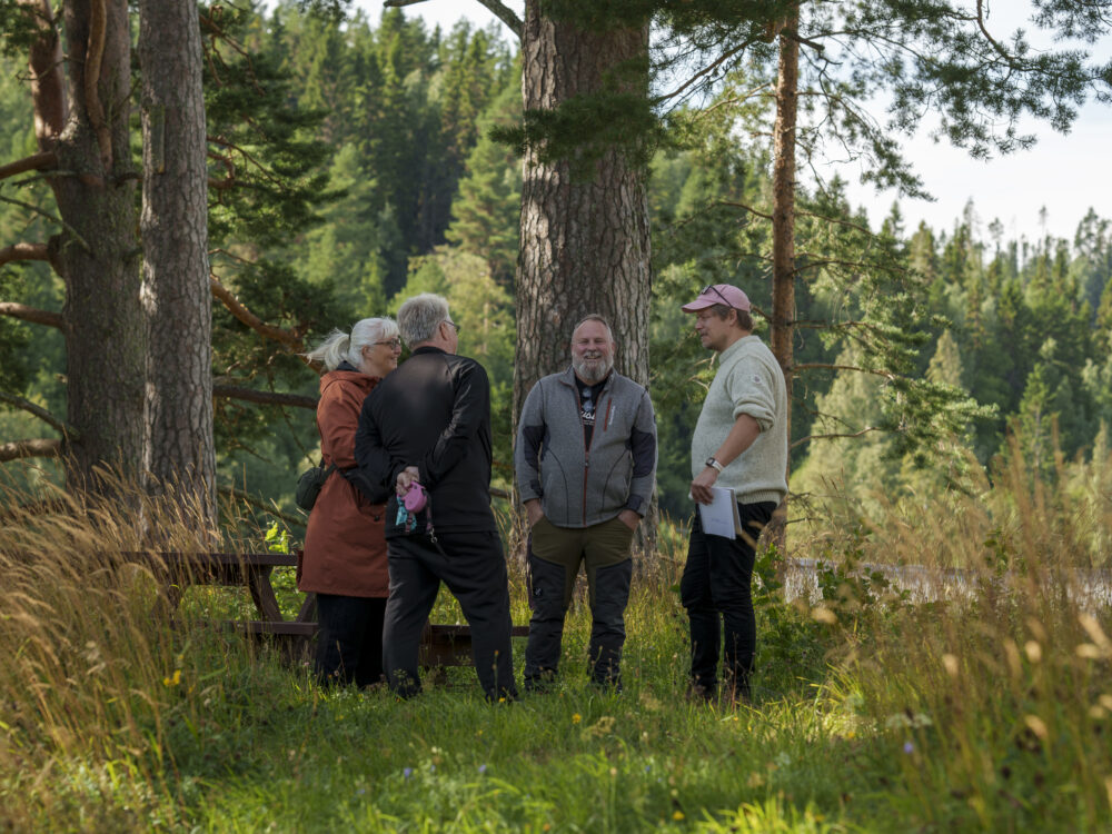 Prosjektdeltakere i skogen - grenseoverskridende kulturarbeid i Samspel63