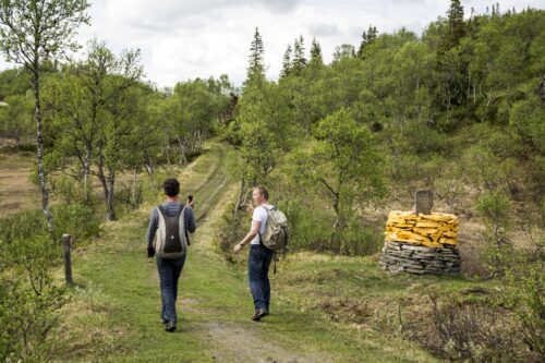to menn vandrer på en sti i skogen - S:t Olavsleden besøksnæring