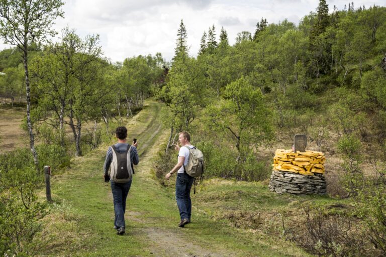to menn vandrer på en sti i skogen - S:t Olavsleden besøksnæring
