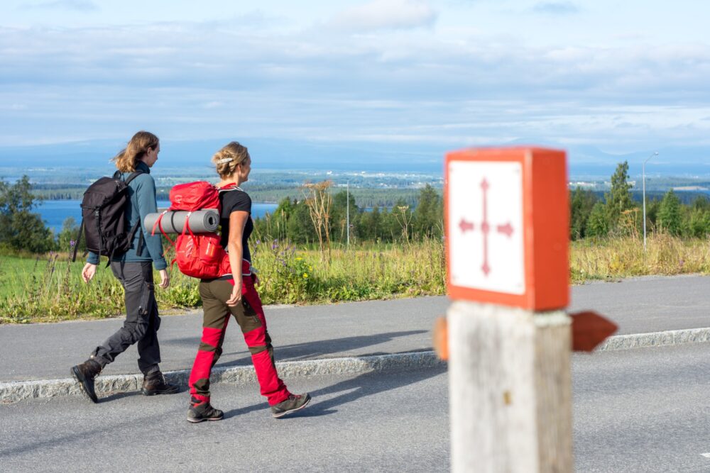 to personer vandrer langs en vei - S:t Olavsleden besøksnæring