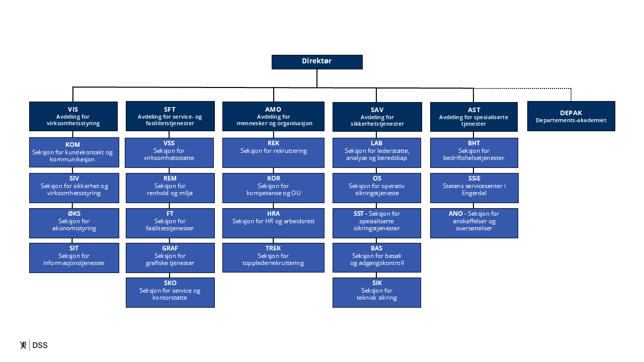 Illustrasjon viser DSS sitt organisasjonskart.