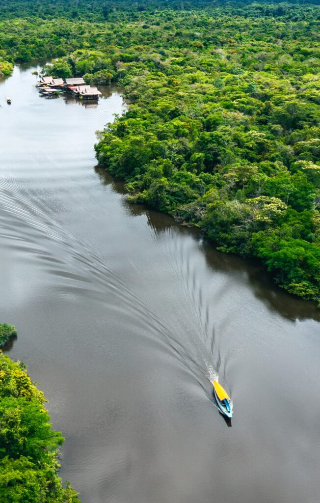 Aerial view of rainforest in Peru