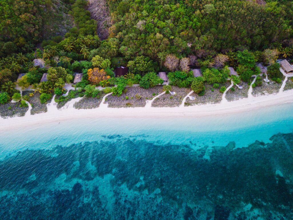 Forest and coastal line