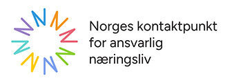 Norges kontaktpunkts logo; N'er i forskjellige farger satt sammen til en sirkel